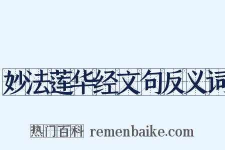 妙法莲华经文句反义词是什么意思的图片